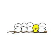 ヒメ日記 2025/12/27 20:38 投稿 風花-ふうか- ZERO