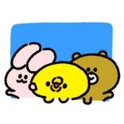 ヒメ日記 2026/03/11 17:17 投稿 風花-ふうか- ZERO