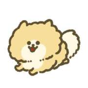 ヒメ日記 2026/03/25 16:48 投稿 風花-ふうか- ZERO