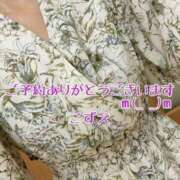 ヒメ日記 2025/07/31 11:50 投稿 こずえ 熟女の風俗最終章 蒲田店