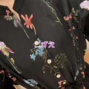 ヒメ日記 2025/11/11 11:58 投稿 こずえ 熟女の風俗最終章 蒲田店