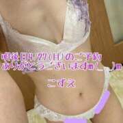 ヒメ日記 2026/04/25 19:30 投稿 こずえ 熟女の風俗最終章 蒲田店