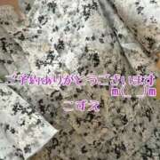 ヒメ日記 2026/08/03 12:01 投稿 こずえ 熟女の風俗最終章 蒲田店