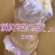 ヒメ日記 2026/09/20 19:40 投稿 こずえ 熟女の風俗最終章 蒲田店