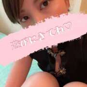 ヒメ日記 2024/12/10 12:20 投稿 ナオ Ageha(アゲハ)