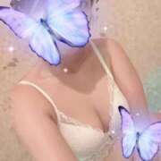 ヒメ日記 2025/05/09 17:01 投稿 ナオ Ageha(アゲハ)