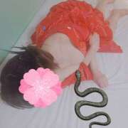 ヒメ日記 2025/01/04 18:25 投稿 めぐみ(淑女） Royal Silky（ロイヤルシルキー）