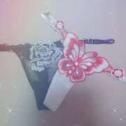 ヒメ日記 2025/07/17 17:21 投稿 めぐみ(淑女） Royal Silky（ロイヤルシルキー）