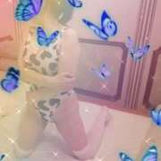 ヒメ日記 2025/08/14 17:06 投稿 めぐみ(淑女） Royal Silky（ロイヤルシルキー）