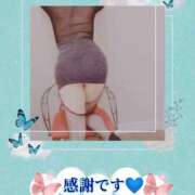 ヒメ日記 2025/11/16 15:10 投稿 めぐみ(淑女） Royal Silky（ロイヤルシルキー）