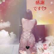 ヒメ日記 2026/01/28 17:11 投稿 めぐみ(淑女） Royal Silky（ロイヤルシルキー）