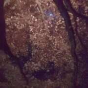 ヒメ日記 2026/03/31 23:03 投稿 めぐみ(淑女） Royal Silky（ロイヤルシルキー）