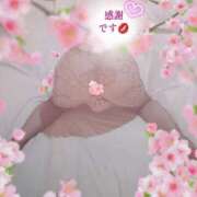 ヒメ日記 2026/04/08 17:55 投稿 めぐみ(淑女） Royal Silky（ロイヤルシルキー）