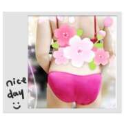 ヒメ日記 2025/04/02 11:00 投稿 ゆうか(熟女) Royal Silky（ロイヤルシルキー）