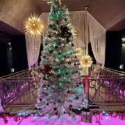 ヒメ日記 2025/11/27 08:34 投稿 ゆうか(熟女) Royal Silky（ロイヤルシルキー）