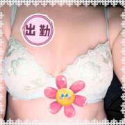 ヒメ日記 2026/03/20 16:49 投稿 ゆうか(熟女) Royal Silky（ロイヤルシルキー）