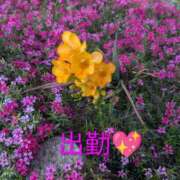 ヒメ日記 2026/04/13 17:34 投稿 ゆうか(熟女) Royal Silky（ロイヤルシルキー）