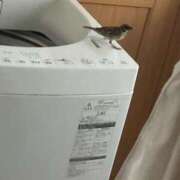 ヒメ日記 2025/08/27 07:23 投稿 ちさと リアル 京橋店