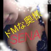 ヒメ日記 2025/11/21 18:14 投稿 せな ドMな奥様 京都店