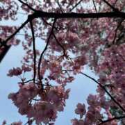 ヒメ日記 2026/04/06 10:04 投稿 せな ドMな奥様 京都店