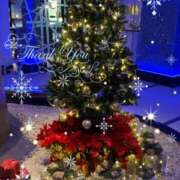 ヒメ日記 2024/12/07 21:24 投稿 光(ひかり) 相模原人妻城