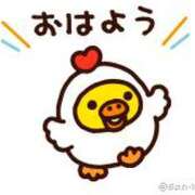 ヒメ日記 2024/12/18 08:33 投稿 光(ひかり) 相模原人妻城