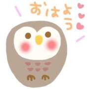 ヒメ日記 2025/01/19 07:33 投稿 光(ひかり) 相模原人妻城