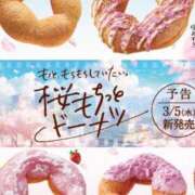 ヒメ日記 2025/03/01 23:48 投稿 光(ひかり) 相模原人妻城