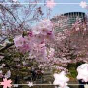 ヒメ日記 2025/03/30 00:03 投稿 光(ひかり) 相模原人妻城