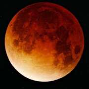 ヒメ日記 2025/09/08 10:36 投稿 光(ひかり) 相模原人妻城