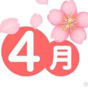 ヒメ日記 2026/04/01 01:48 投稿 光(ひかり) 相模原人妻城