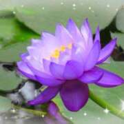 ヒメ日記 2025/05/27 22:43 投稿 あさひ 熟女家 十三店