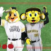 ヒメ日記 2025/10/29 22:05 投稿 朝倉 メガフォース