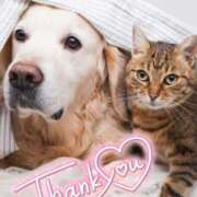 ヒメ日記 2026/01/13 20:39 投稿 朝倉 メガフォース