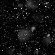 ヒメ日記 2026/02/08 10:18 投稿 朝倉 メガフォース