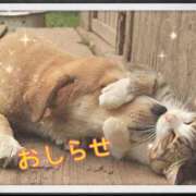 ヒメ日記 2026/03/10 19:39 投稿 朝倉 メガフォース