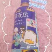 ヒメ日記 2026/03/20 08:14 投稿 朝倉 メガフォース