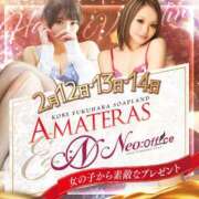 ヒメ日記 2024/02/14 10:30 投稿 峰岸　ちな Amateras～アマテラス～