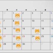 ヒメ日記 2026/09/01 07:17 投稿 峰岸　ちな Amateras～アマテラス～