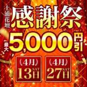 ヒメ日記 2024/04/13 13:00 投稿 ねね 土浦人妻花壇