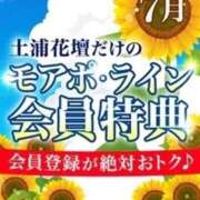 ヒメ日記 2024/07/02 00:33 投稿 ねね 土浦人妻花壇