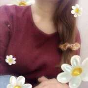 ヒメ日記 2025/03/07 16:48 投稿 ねね モアグループ 土浦人妻花壇