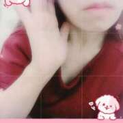 ヒメ日記 2025/12/09 22:21 投稿 ねね モアグループ 土浦人妻花壇