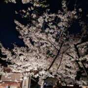 みや こんばんは(⁠◍⁠•⁠ᴗ⁠•⁠◍⁠)⁠❤ 奥鉄オクテツ大阪