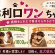 ヒメ日記 2026/09/24 15:55 投稿 みや 奥鉄オクテツ大阪