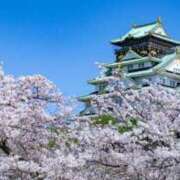 ヒメ日記 2025/03/27 14:39 投稿 めぐ 奥様電車