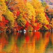 ヒメ日記 2025/11/15 14:49 投稿 めぐ 奥様電車