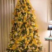 ヒメ日記 2025/12/22 09:36 投稿 めぐ 奥様電車