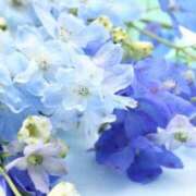 ヒメ日記 2025/12/26 16:08 投稿 めぐ 奥様電車