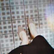 松浦 こんにちは ローズマリー大塚